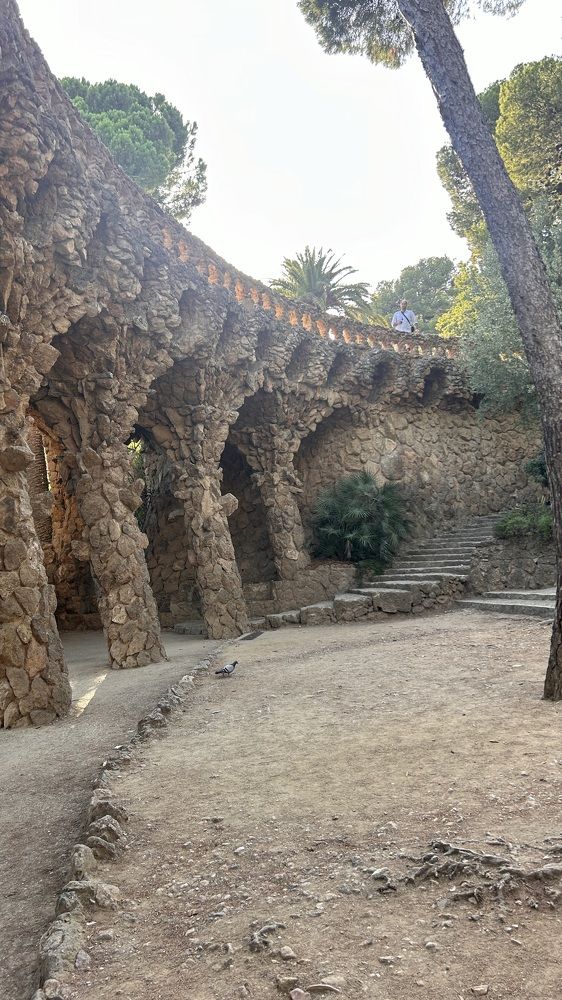 Photograph by Ириша Гайдель