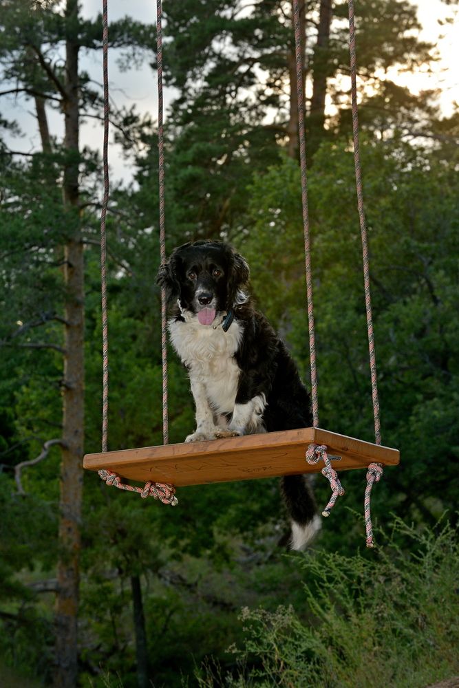 Photograph by Алексей Volg