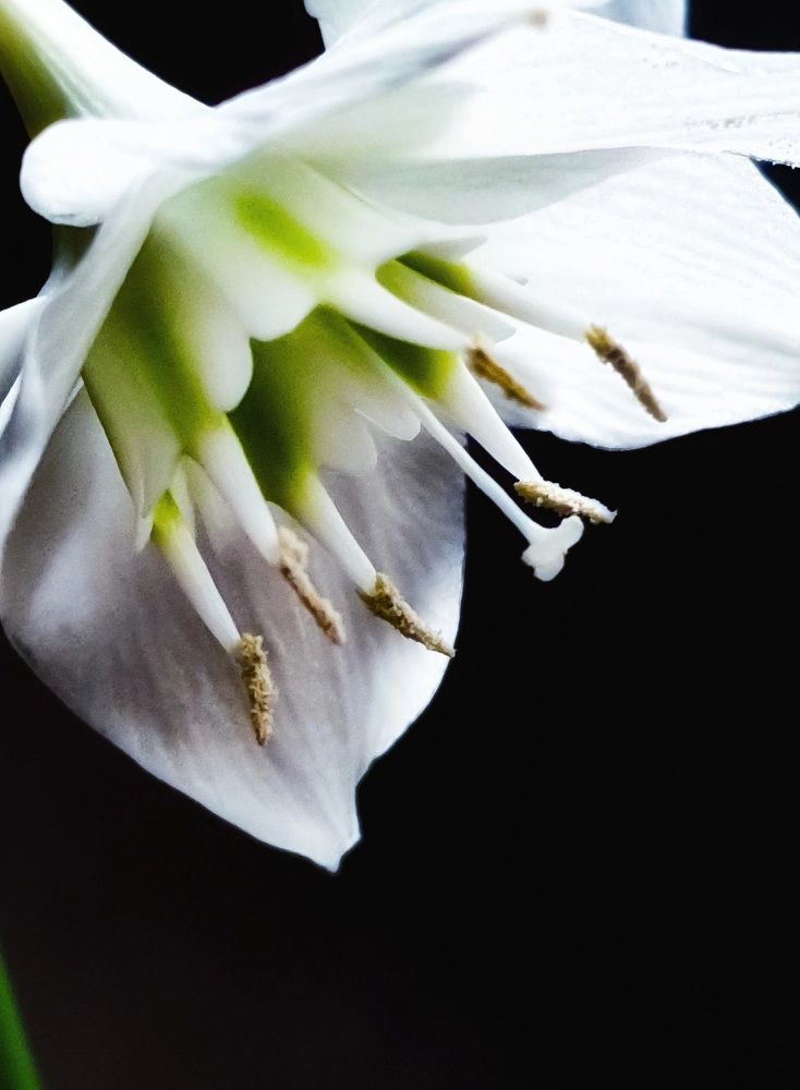 Photograph by Эльвира Куликова