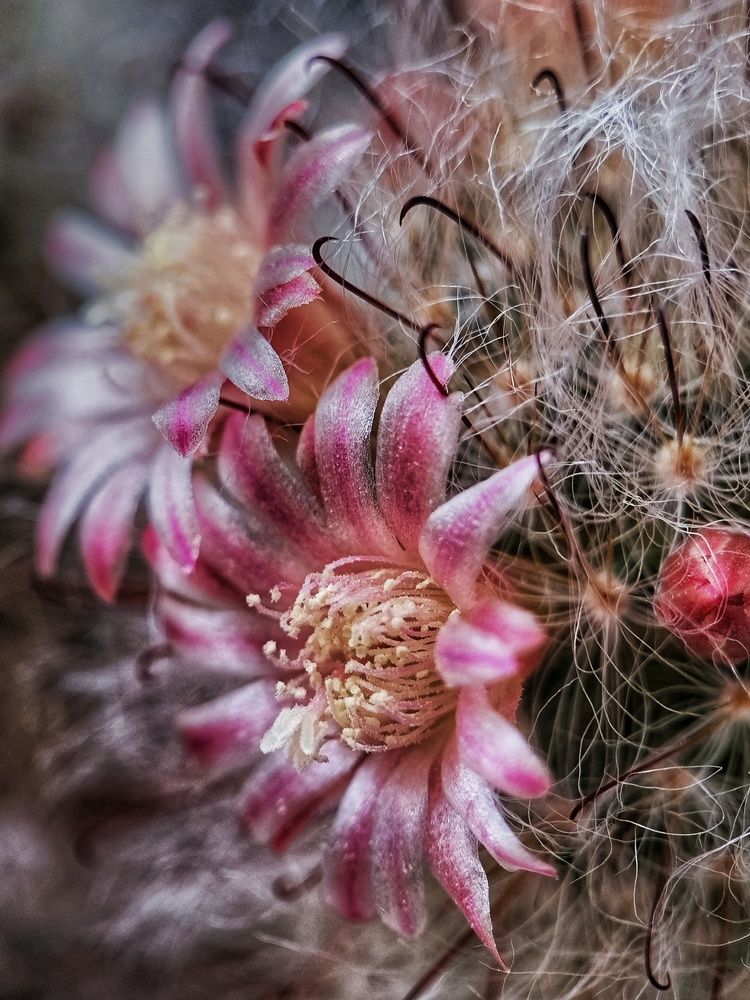 Photograph by Олеся Хижко