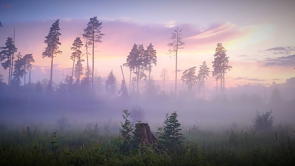 Photograph by Виктор Поздняк