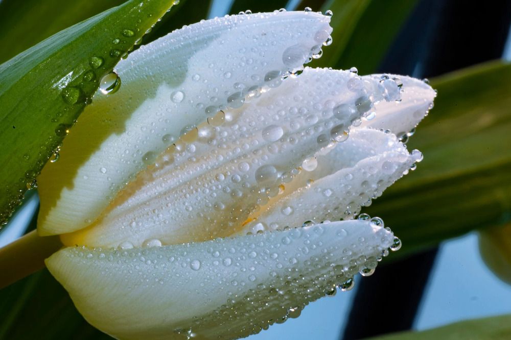 Photograph by Ольга Чибисова