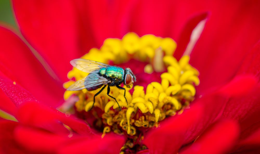 Фотография автора Максим Жухлистов