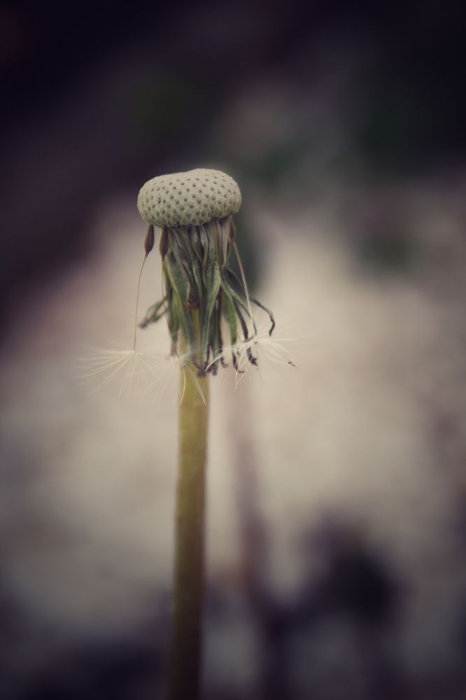 Photograph by Евгения Голубова