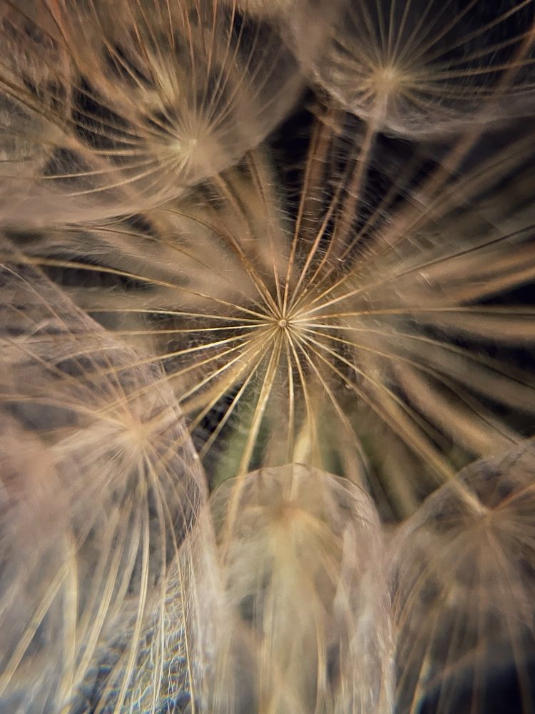 Photograph by Евгения Голубова