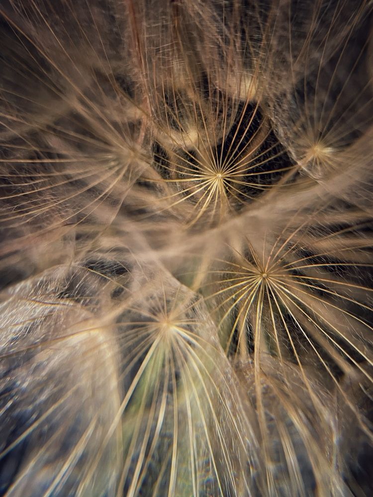 Photograph by Евгения Голубова