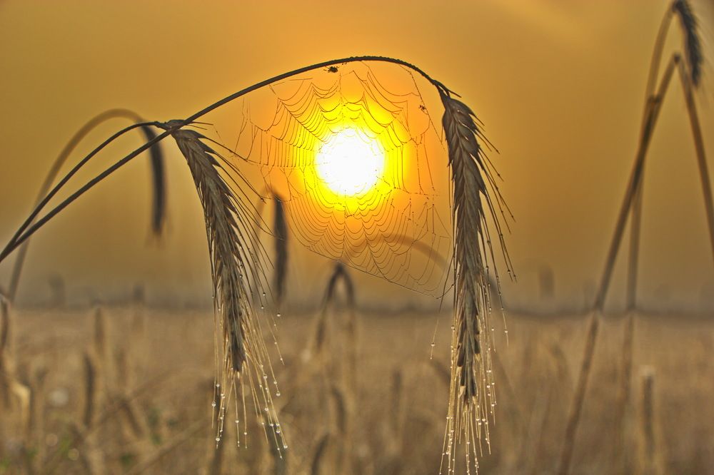 Восход солнца.