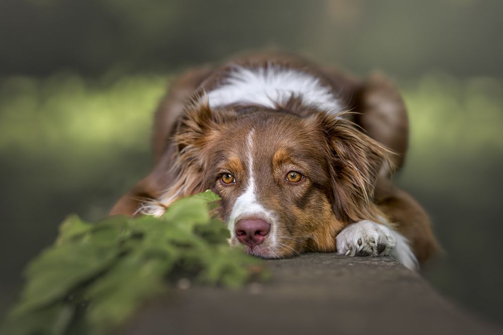 Photograph by Lucie Nermuťová