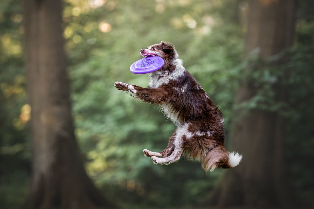 Photograph by Lucie Nermuťová