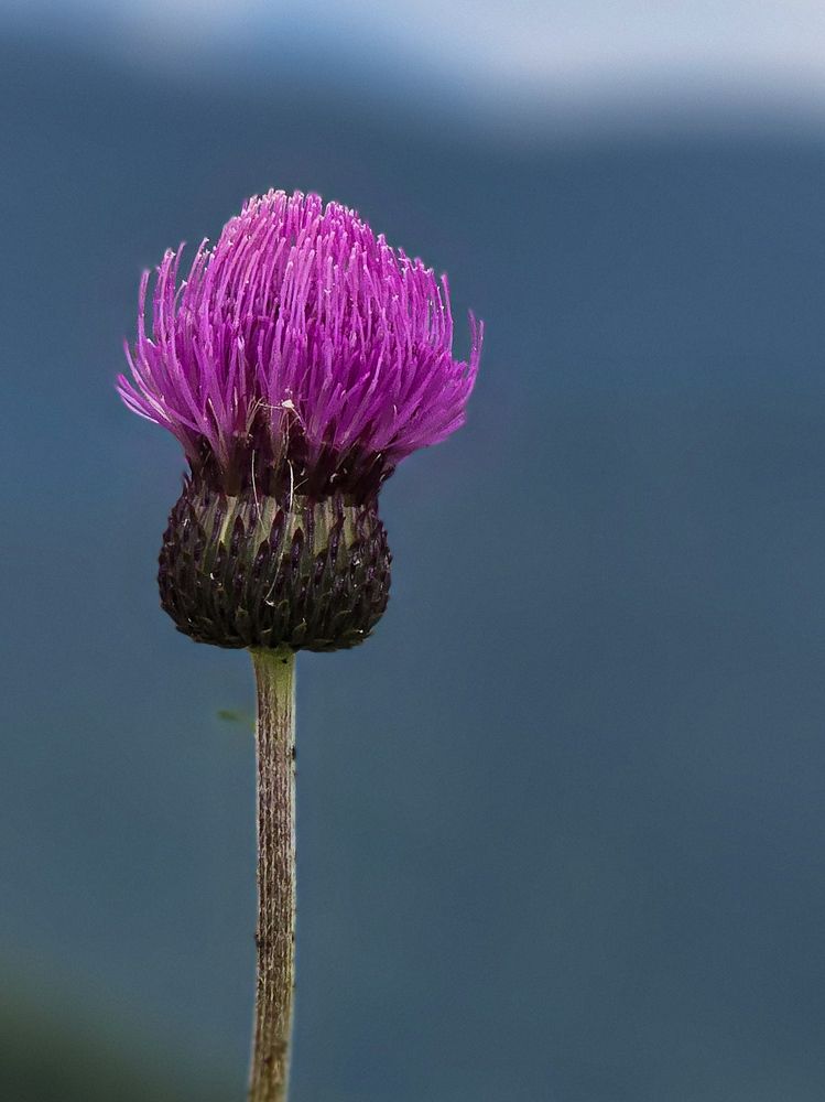 Photograph by Ольга Дёмина