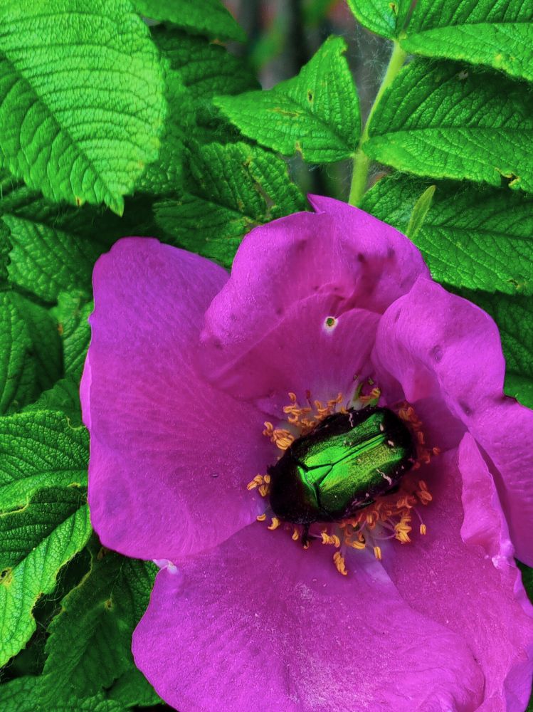 Photograph by Ольга Дёмина