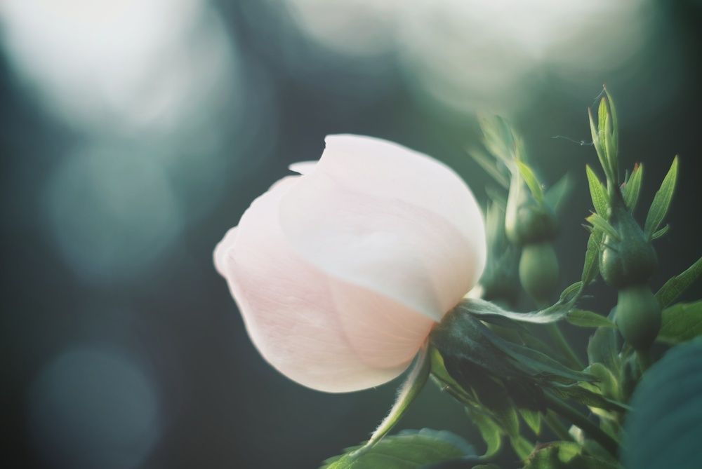 Photograph by Константин Бокарев