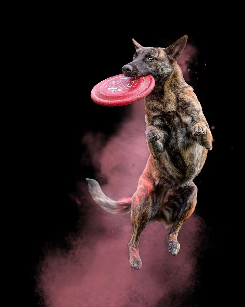 Photograph by Lucie Nermuťová