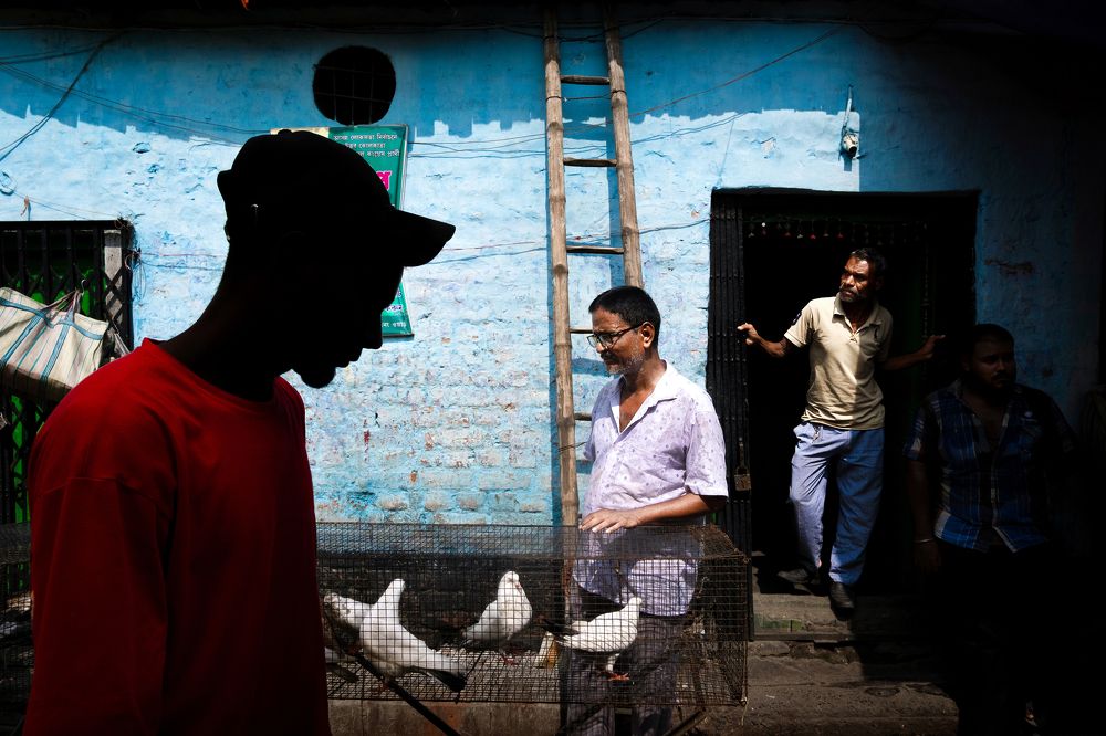 Photograph by Kuntal Biswas