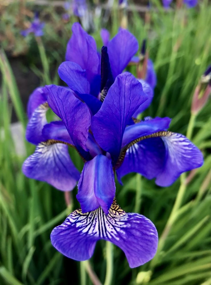 Фотография автора Евгения Елисеева