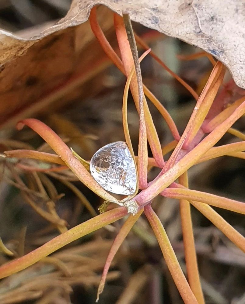 Photograph by Оксана Бессчетнова