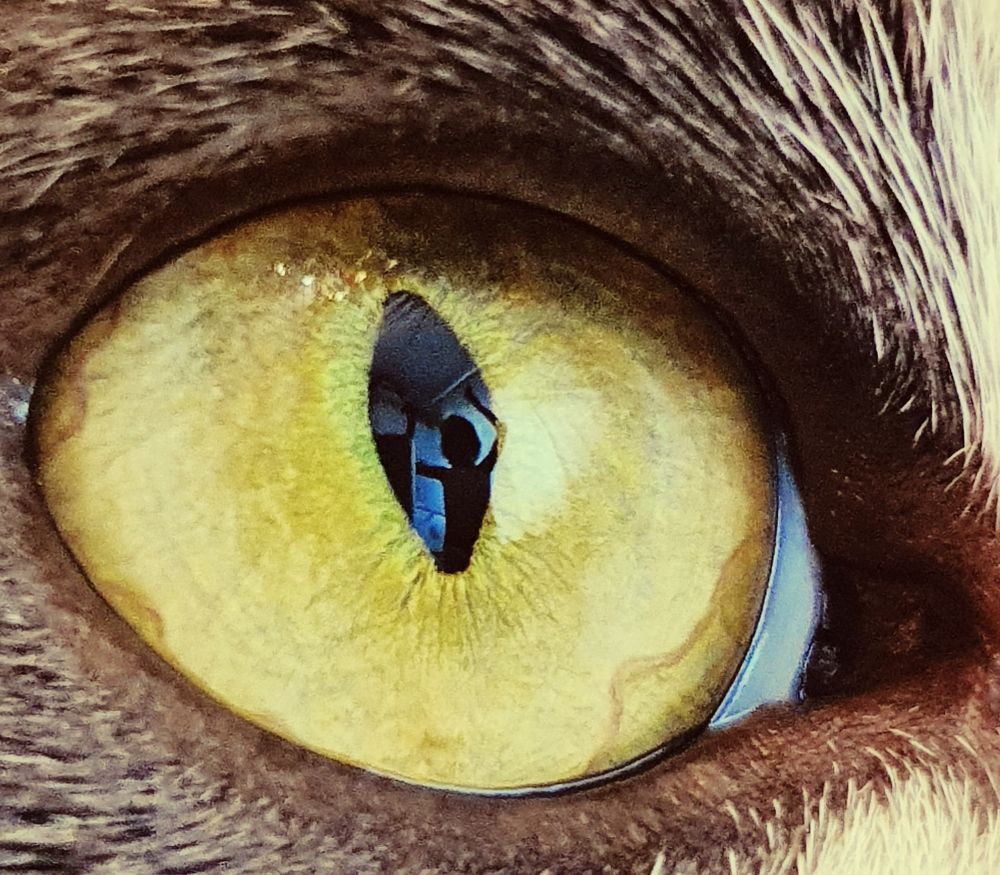 Photograph by Оксана Бессчетнова