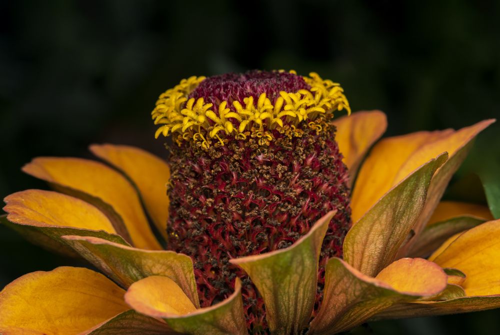 Photograph by Сергей Белов