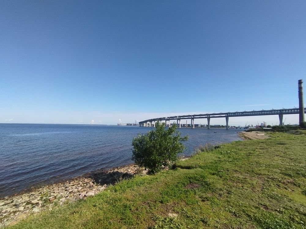 Photograph by Ольга Антохина