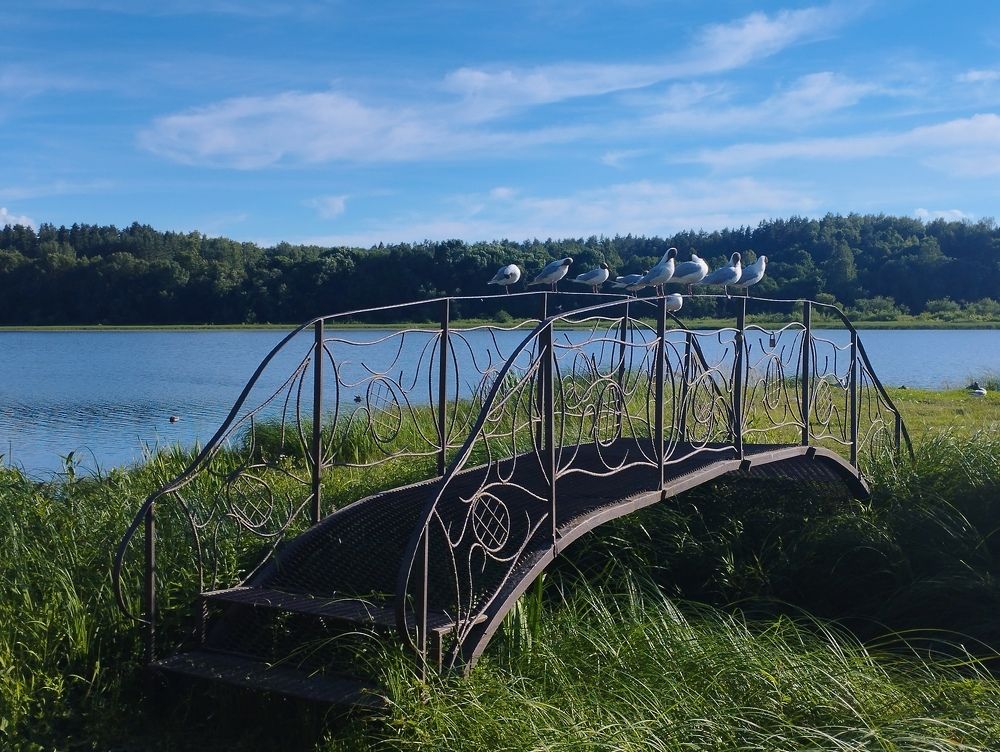 Photograph by Ольга Антохина