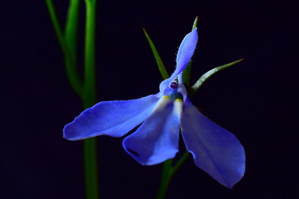 Photograph by Николай Абакумов