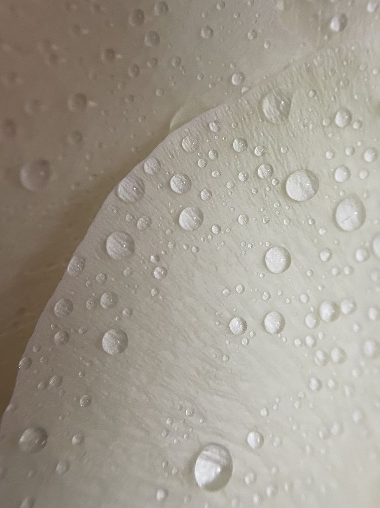 Photograph by Татьяна Раковская