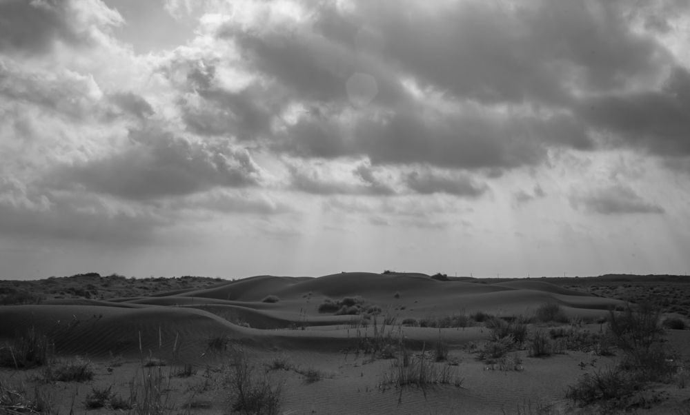 Фотография автора Вадим Лабитов