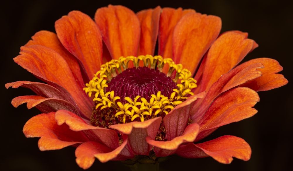 Photograph by Сергей Белов