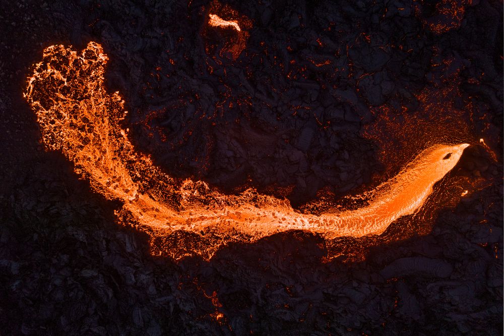 The Rise of the Phoenix