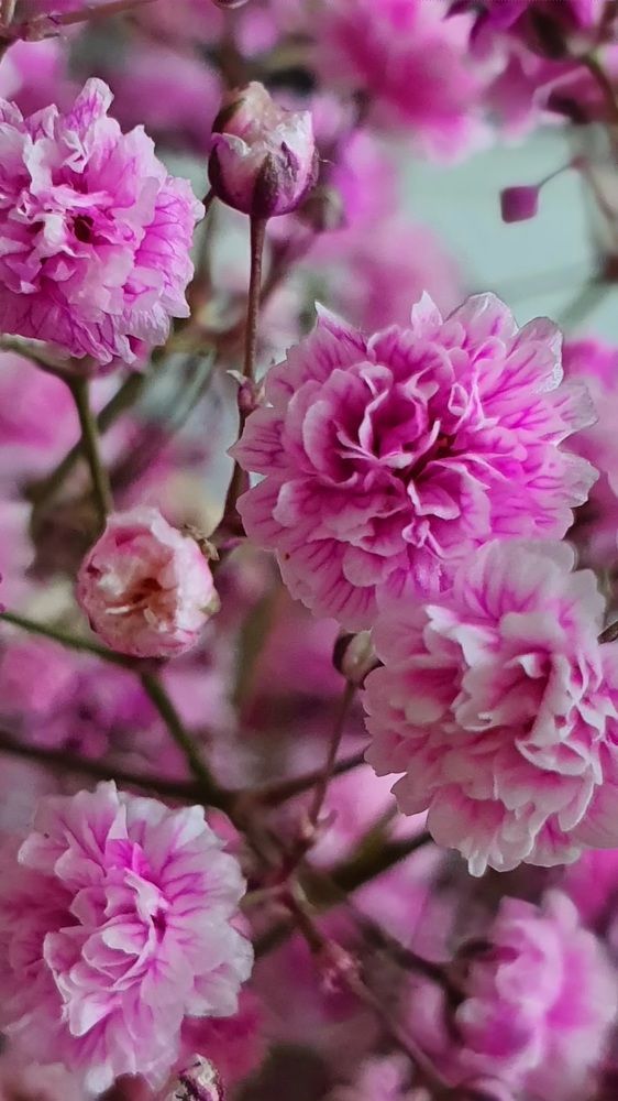 Photograph by Оксана Бессчетнова