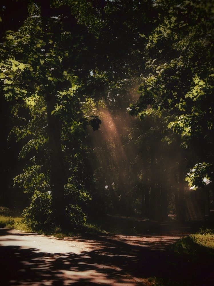 Photograph by Екатерина Воротникова