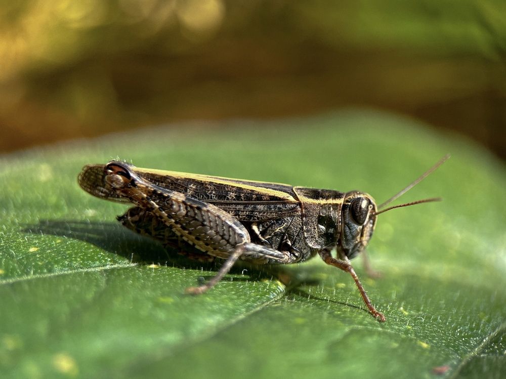 Photograph by Marina En