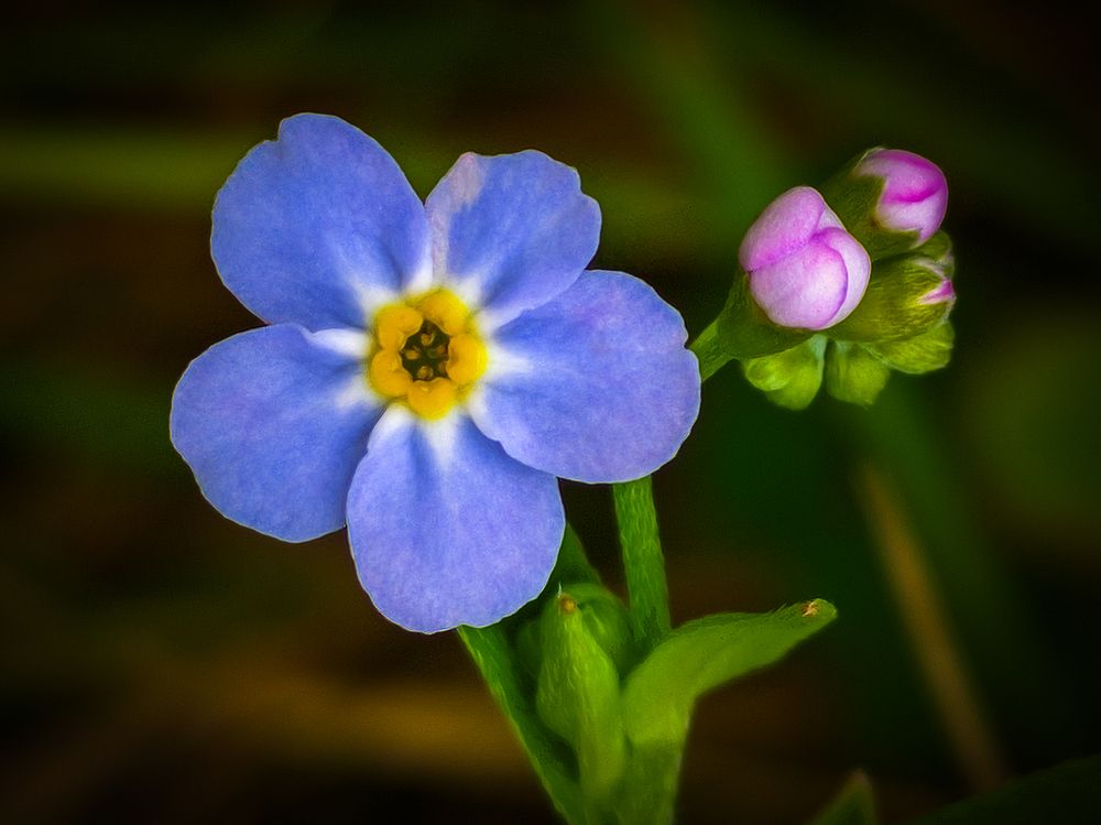 Photograph by Юлия Крюкова