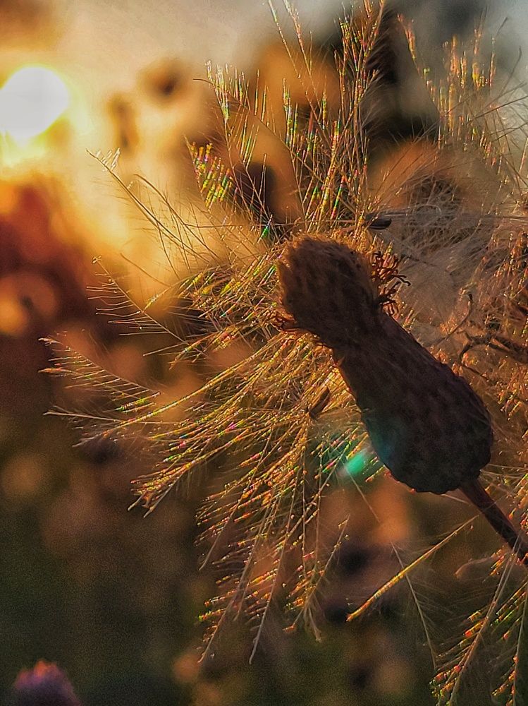 Photograph by Алина