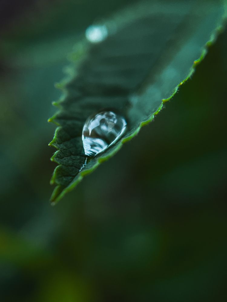 Photograph by Анна