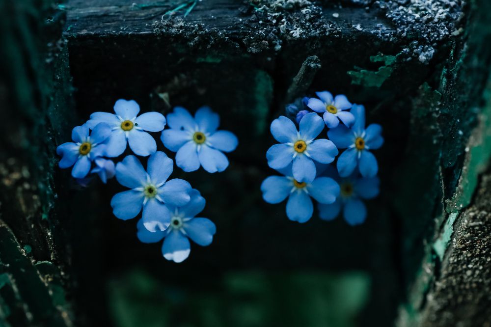 Photograph by Наталья Чернышова