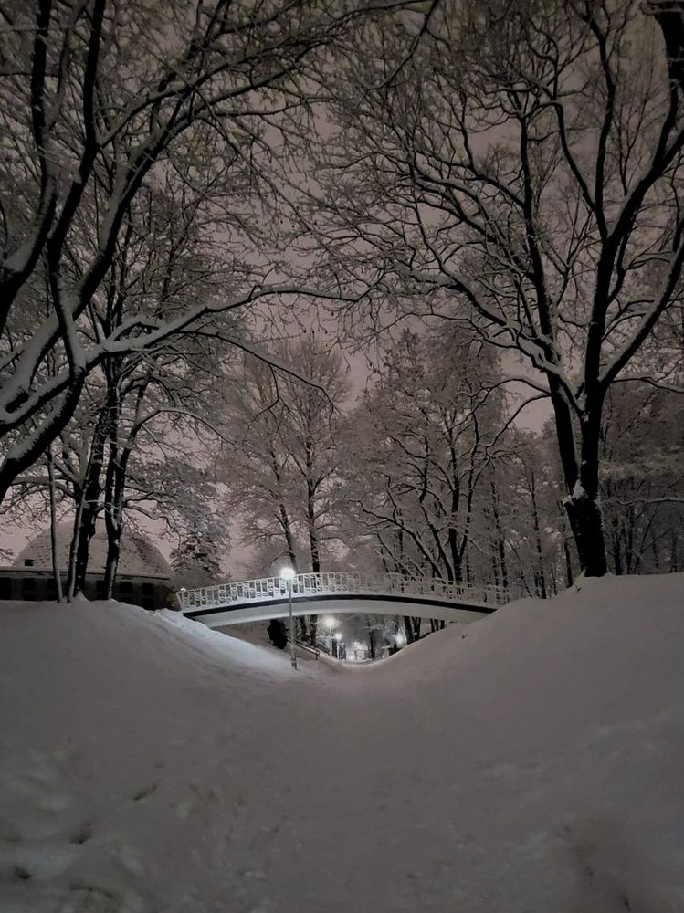 Photograph by Алина