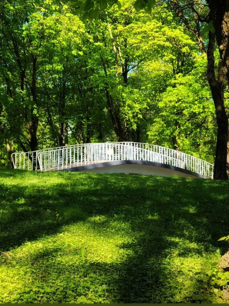 Photograph by Алина