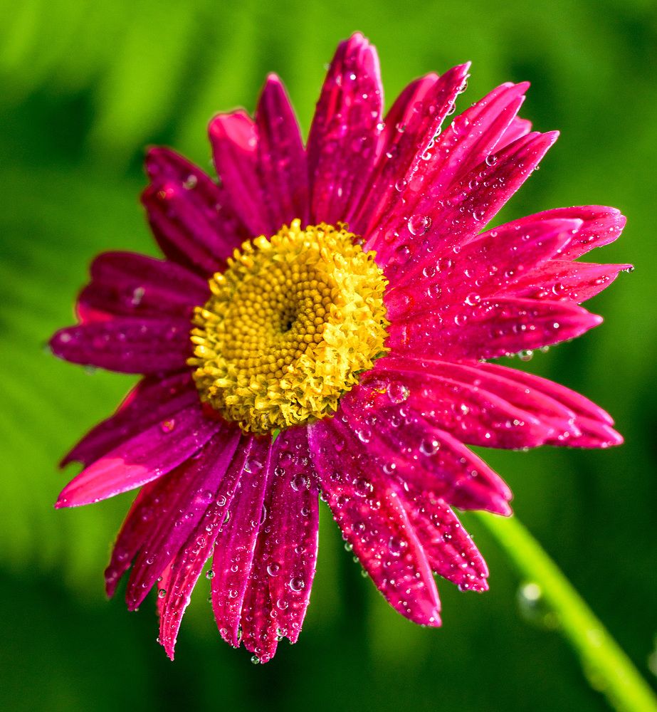 Photograph by Вишневецкая Светлана