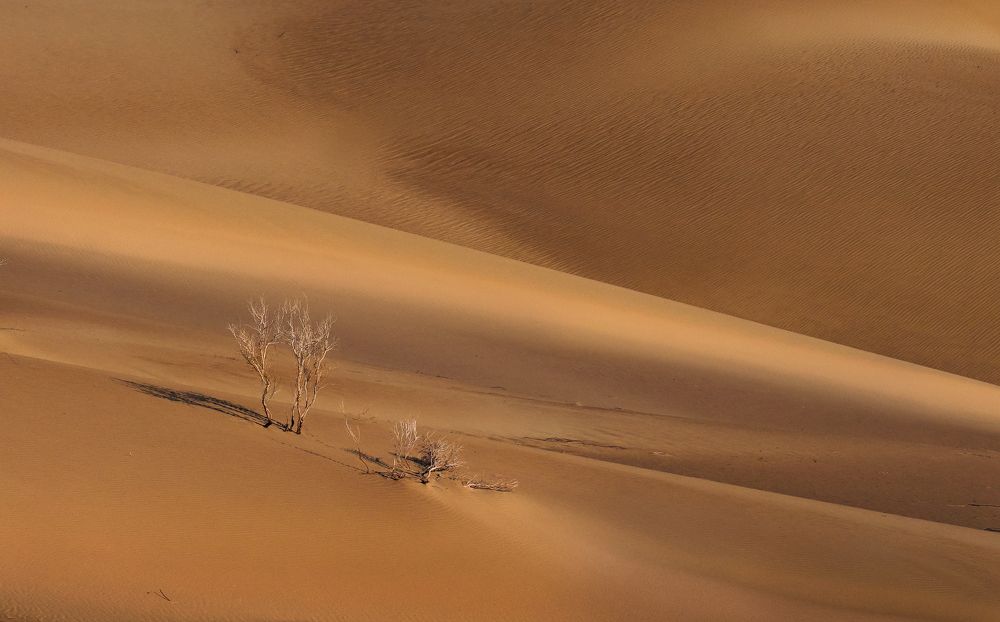 Photograph by zeinab mokhtari