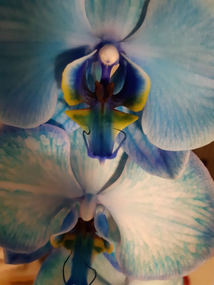 Photograph by Špela Mavsar