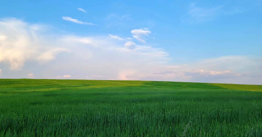 Photograph by никита ойслендер