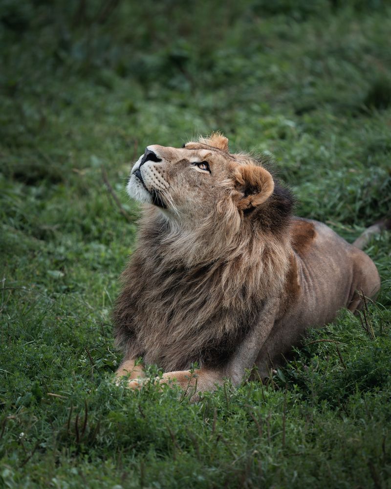 Photograph by Данил Шауба