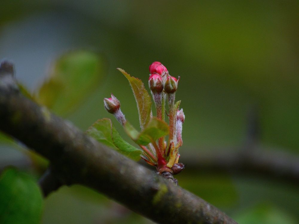 Photograph by Сергей Симаков