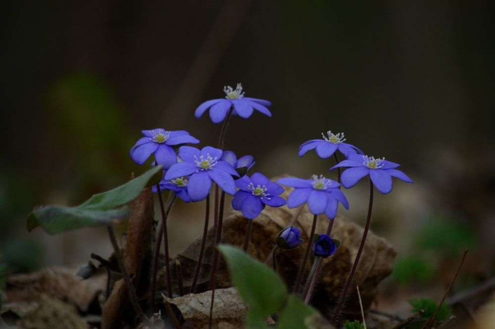 Photograph by Сергей Симаков