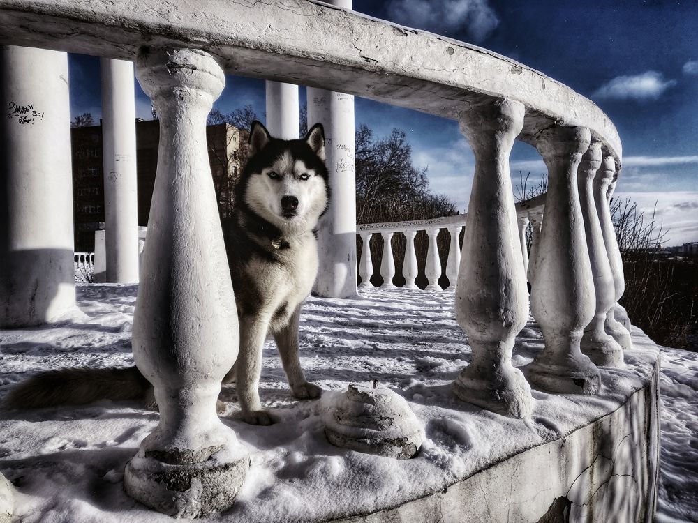 Photo #10903560