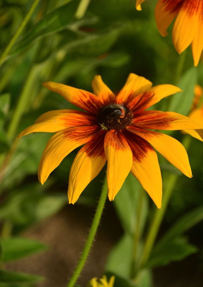 Photograph by Анна Ляшенко