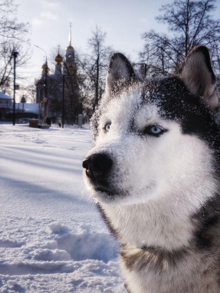 Photo #10903575