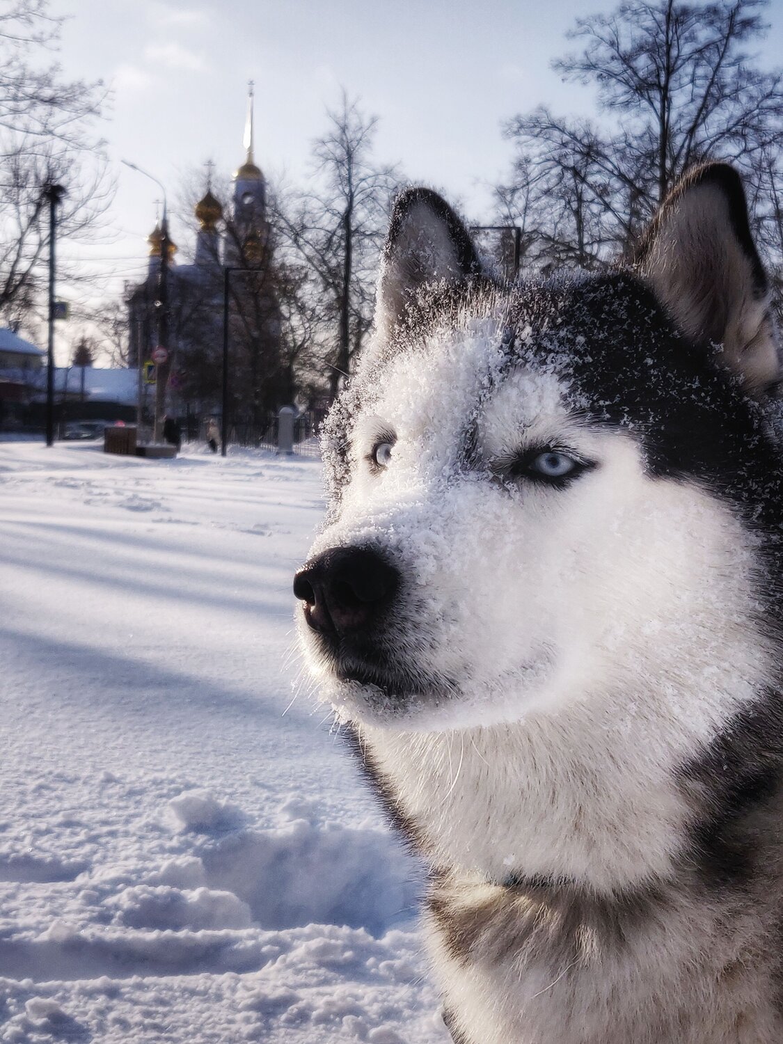 Photo #10903575