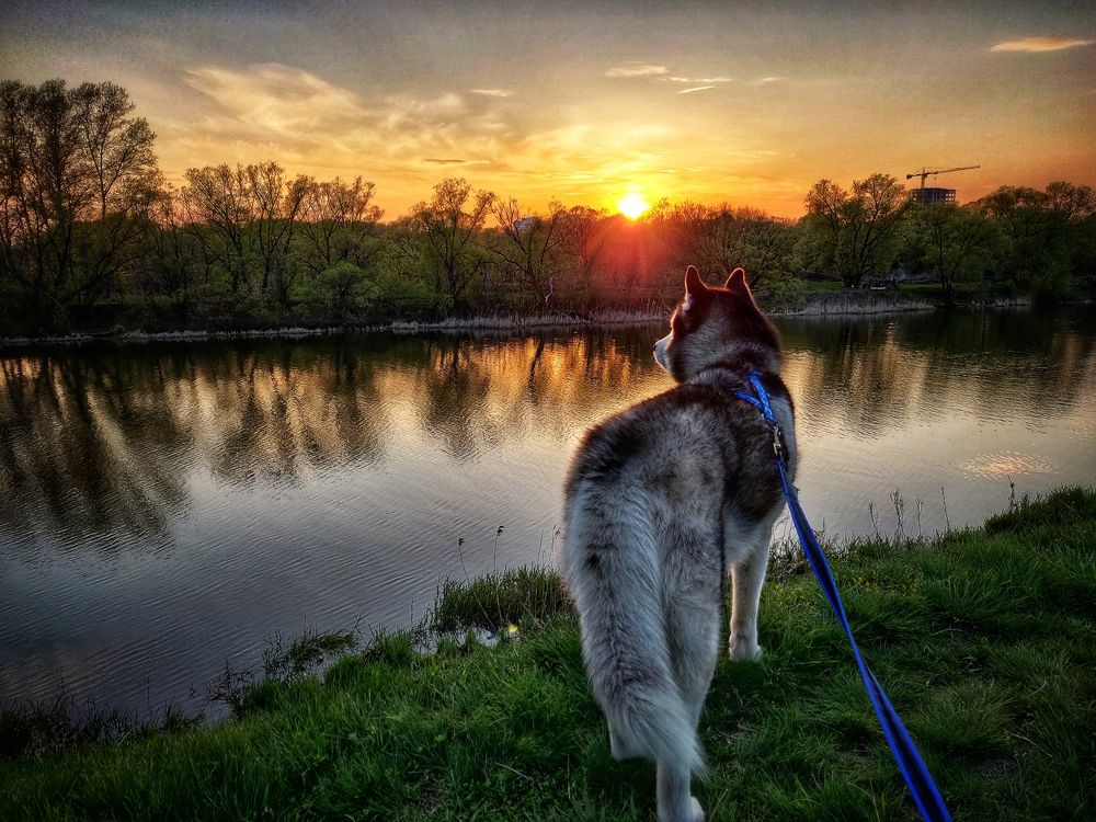 Photo #10903582